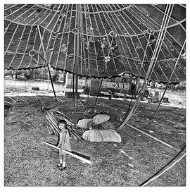 Dentro de la carpa