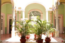 Patio Escuela de Idiomas